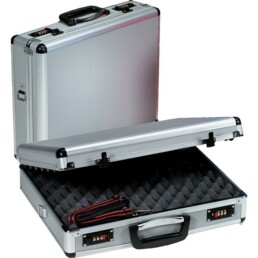 Pistol case 